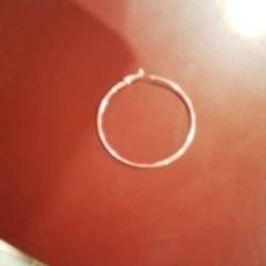 Kolczyk Zilver rond, zgłoszono przez Apenheul przy użyciu iLost