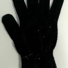 Handschoen Zwart zacht, rapporterat av Burgers' Zoo med iLost