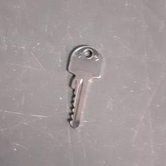 Chave, como reportado por Diergaarde Blijdorp utilizando o iLost