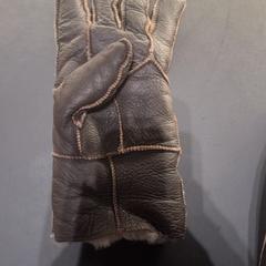 Hansker, som rapportert av Van der Valk Hotel Houten ved bruk av iLost