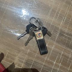Sleutelbos/Keys, as reported to iLost