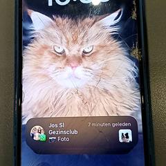 Handy iPhone, gemeldet von Qbuzz GD Groningen HS über iLost