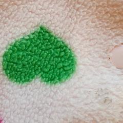 Chaleco Roze, segundo informou DierenPark Amersfoort usando iLost