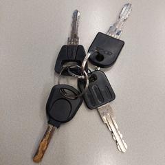 Sleutelbos, amint azt Gemeente Hilversum az iLost segítségével jelentette.