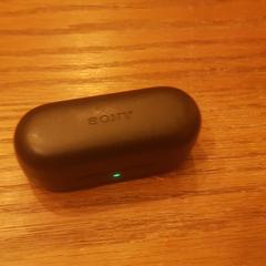 Sony oortjescase (leeg), as reported to iLost