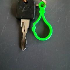 Llave Met groene clip, ha sido reportado por Burgers' Zoo con iLost
