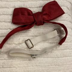 ボウタイ がiLostで IKEA長久手 によって報告されました