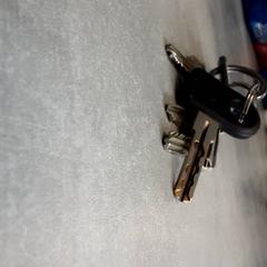 المفاتيح Zwart zilver، كما تم الإبلاغ عنه بواسطة Arriva Friesland / Groningen عبر iLost