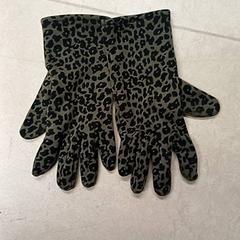Rękawiczki, zgłoszono przez Qbuzz GD Groningen Peizerweg przy użyciu iLost