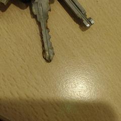 Klucze, zgłoszono przez Walibi Holland przy użyciu iLost