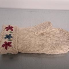 Luva, segundo informou Keolis Lund usando iLost