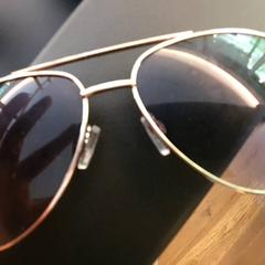 Sunglasses, as reported by DierenPark Amersfoort using iLost