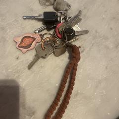 Sleutelbos, som rapportert til iLost