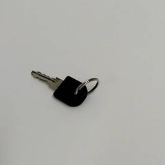 Key, as reported by Bobbejaanland using iLost