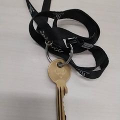 Sleutel، كما تم الإبلاغ عنه بواسطة Arriva Limburg Zuid عبر iLost