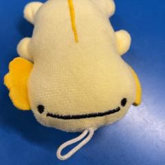 Kuscheltier, gemeldet von IKEA福岡新宮 über iLost