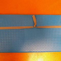 Tappetino sportivo bleu, come riportato da TCL utilizzando iLost