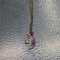 목걸이 Goud kleur, iLost를 사용하여 IKEA Haarlem에 보고됨