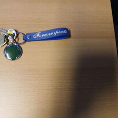 Nyckelring, rapporterat av UVO Vervoer med iLost