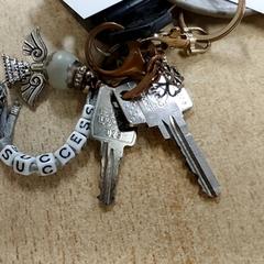 Klíče 3 sleutels, jak nahlášeno Centraal magazijn pomocí iLost