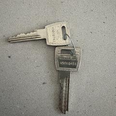 sleutels 2x, iLost-i jakinarazi zaion moduan