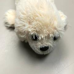 Knuffel Zeehond, zoals gemeld door Burgers' Zoo met iLost