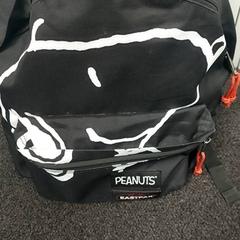 Rugzak, zoals gemeld door Blauwnet Zwolle met iLost