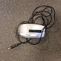 ねずみ がiLostで Breda University of Applied Sciences Mgr. Hopmansstraat によって報告されました