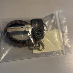 Chiave, come riportato da Padualaan 101 utilizzando iLost