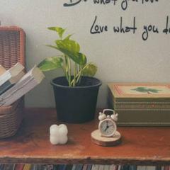 نبته, as reported to iLost