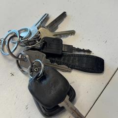 キーホルダー がiLostで GVB によって報告されました