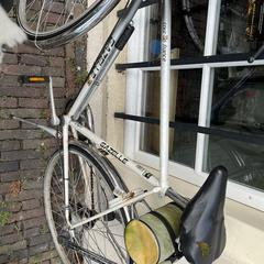 Fiets Gazelle 'Tour de France', ha sido reportado a iLost