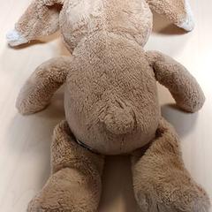 Diverse - Speelgoed, som rapportert av Regio Oost-Vlaanderen ved bruk av iLost