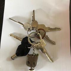 Sleutelbos / Keys in Amsterdam oud Zuid, come riportato a iLost