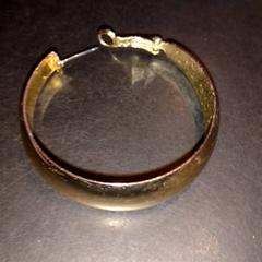 Náušnice, jak nahlášeno TivoliVredenburg pomocí iLost