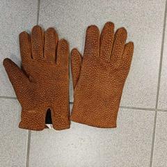 قفاز Bruin، كما تم الإبلاغ عنه بواسطة Regio Oost-Vlaanderen عبر iLost