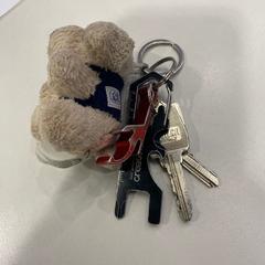 Puzdro na kľúče s kľúčmi, ako bolo nahlásené TU/e - Receptie MetaForum pomocou iLost