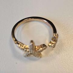 Prsten, jak nahlášeno Breda University of Applied Sciences Mgr. Hopmansstraat pomocí iLost