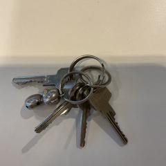 열쇠, iLost를 사용하여 Gemeente Amsterdam에 보고됨