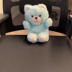 꼭 껴안고 싶은 곰 Blauw, iLost를 사용하여 Burgers' Zoo에 보고됨