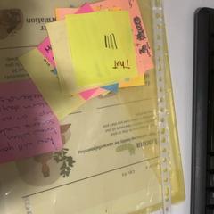 Složka poznámky Yellow, jak nahlášeno TU/e - Receptie Atlas pomocí iLost