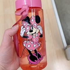 Gourde, segons ha informat IKEA Strasbourg mitjançant iLost