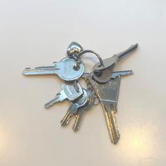 sleutelbos, key's, as reported by Van Gogh Museum using iLost