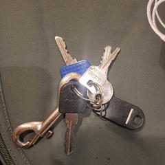 Sleutels croeselaan, como reportado ao iLost