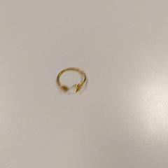 Ringe, som rapportert av Vrije Universiteit Amsterdam ved bruk av iLost