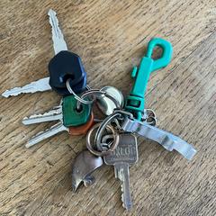 Sleutelbos Keys، كما تم الإبلاغ عنه عبر iLost