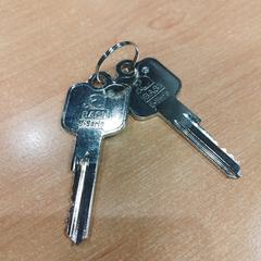 Sleutels, as reported by Politiezone Rivierenland using iLost