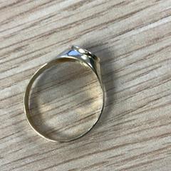 Gyűrű, amint azt Diakonessenhuis Utrecht az iLost segítségével jelentette.