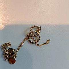 목걸이, iLost를 사용하여 Padualaan 101에 보고됨