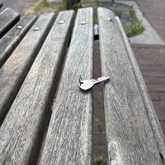 Keys dropped off at Kruidvat Kinkerstraat, gerapporteerd met iLost